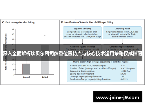 深入全面解析坎贝尔所司多重位置特点与核心技术运用策略权威指南 深入全面解析坎贝尔所司多重位置特点与核心技术运用策略权威指南